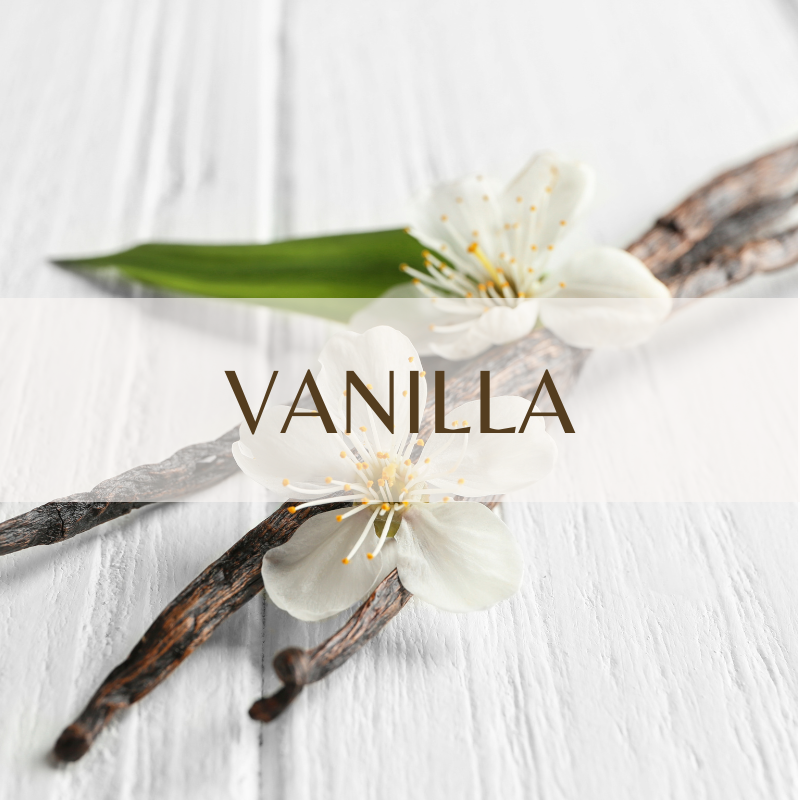 Vanilla