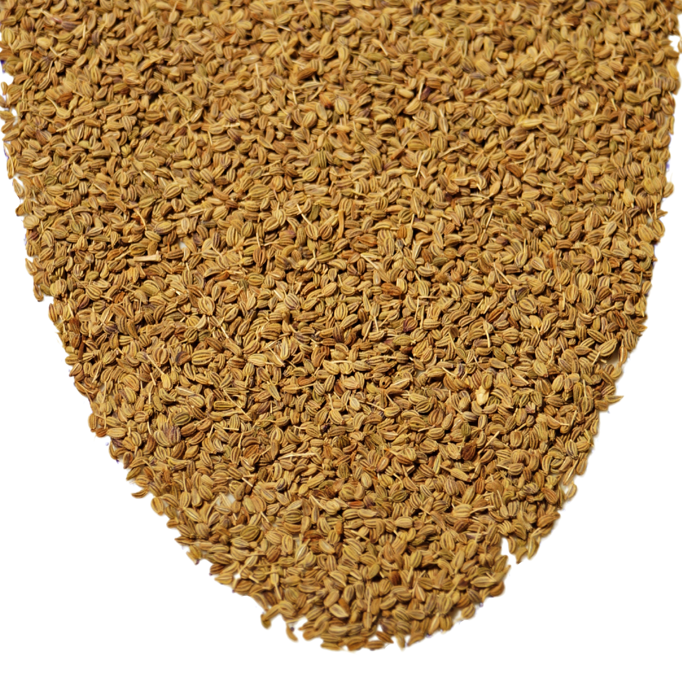 Ajowan (Ajwain) Seed, Organic