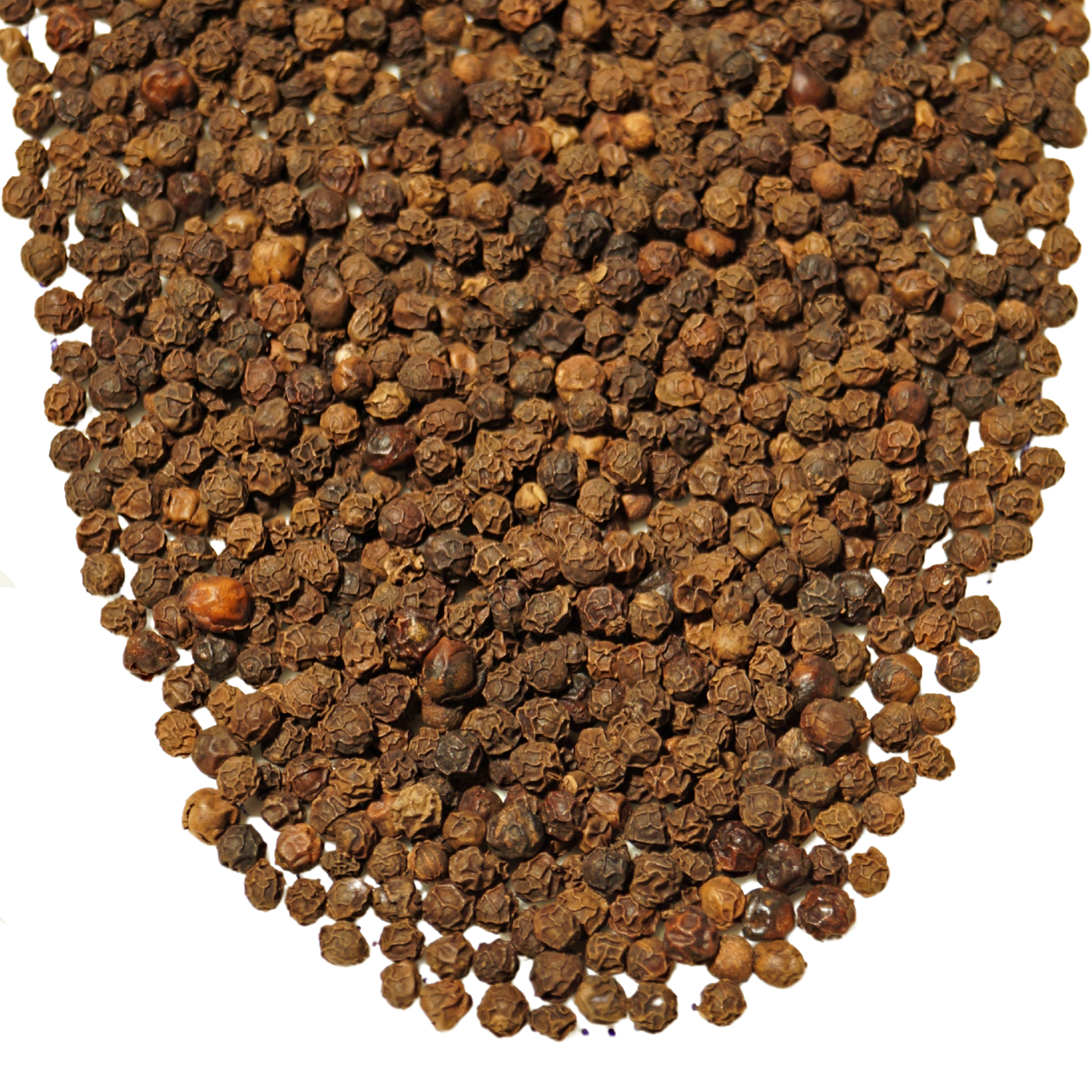 Black Pepper, organic