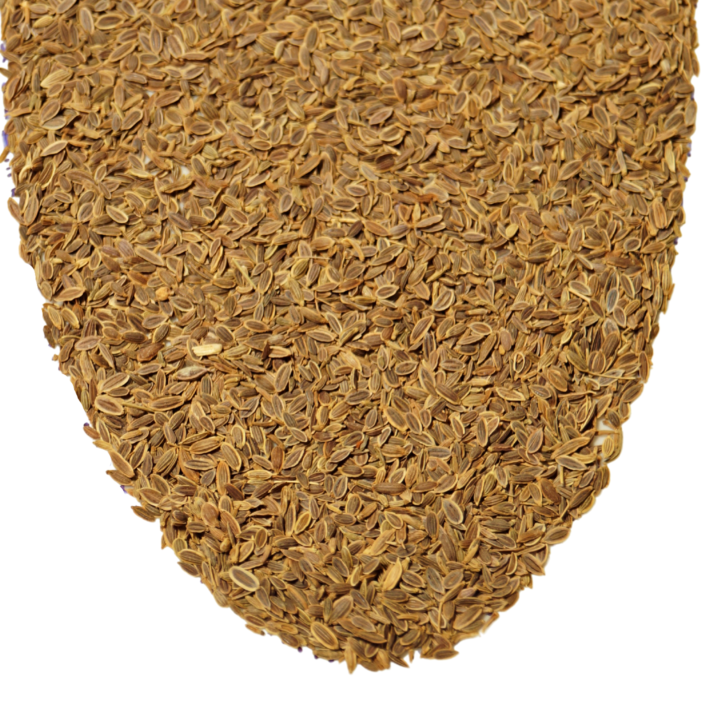Dim Seeds Dill Seeds - cjaytea