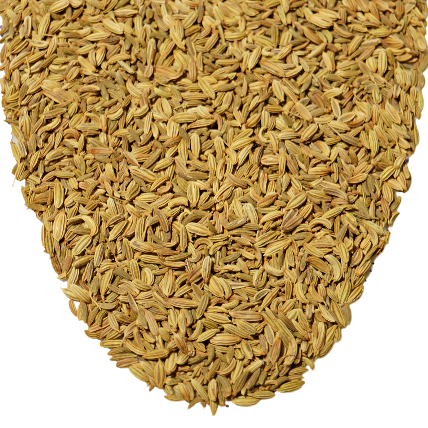 Fennel Whole Seed