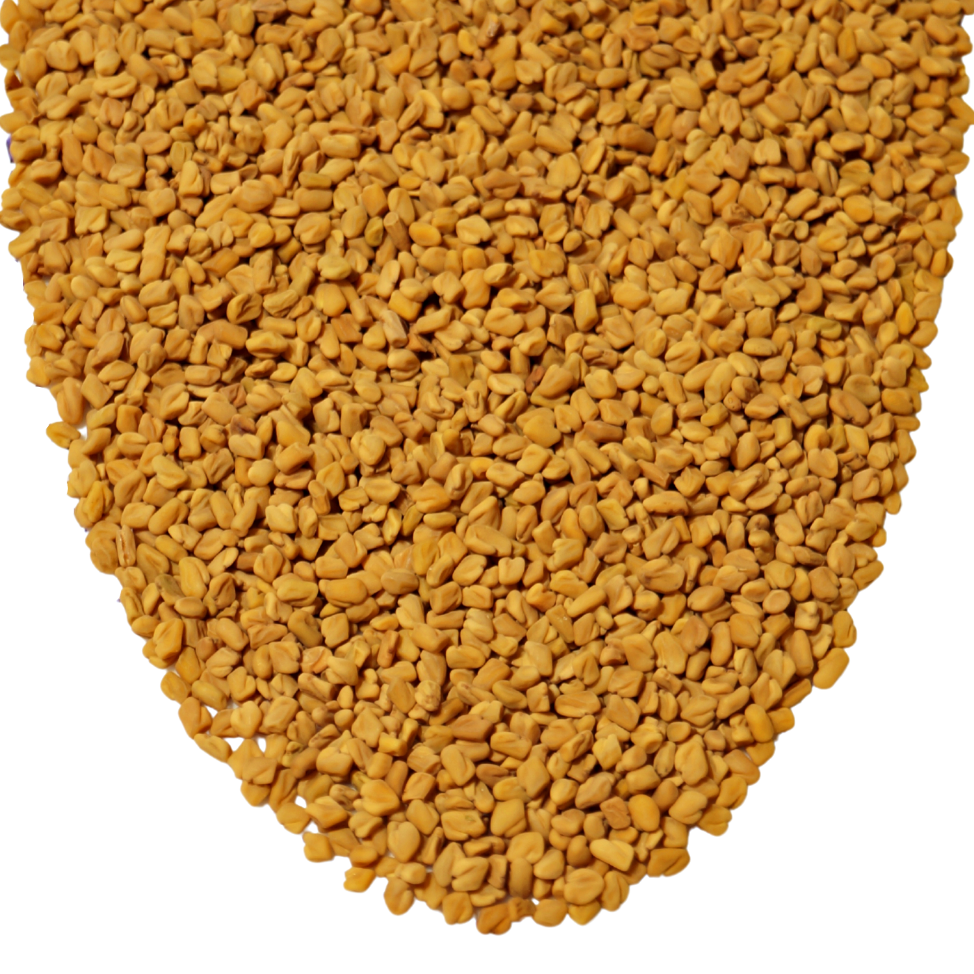 Fenugreek Whole Seed
